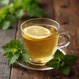 Lemon Balm Tea for Weight Loss